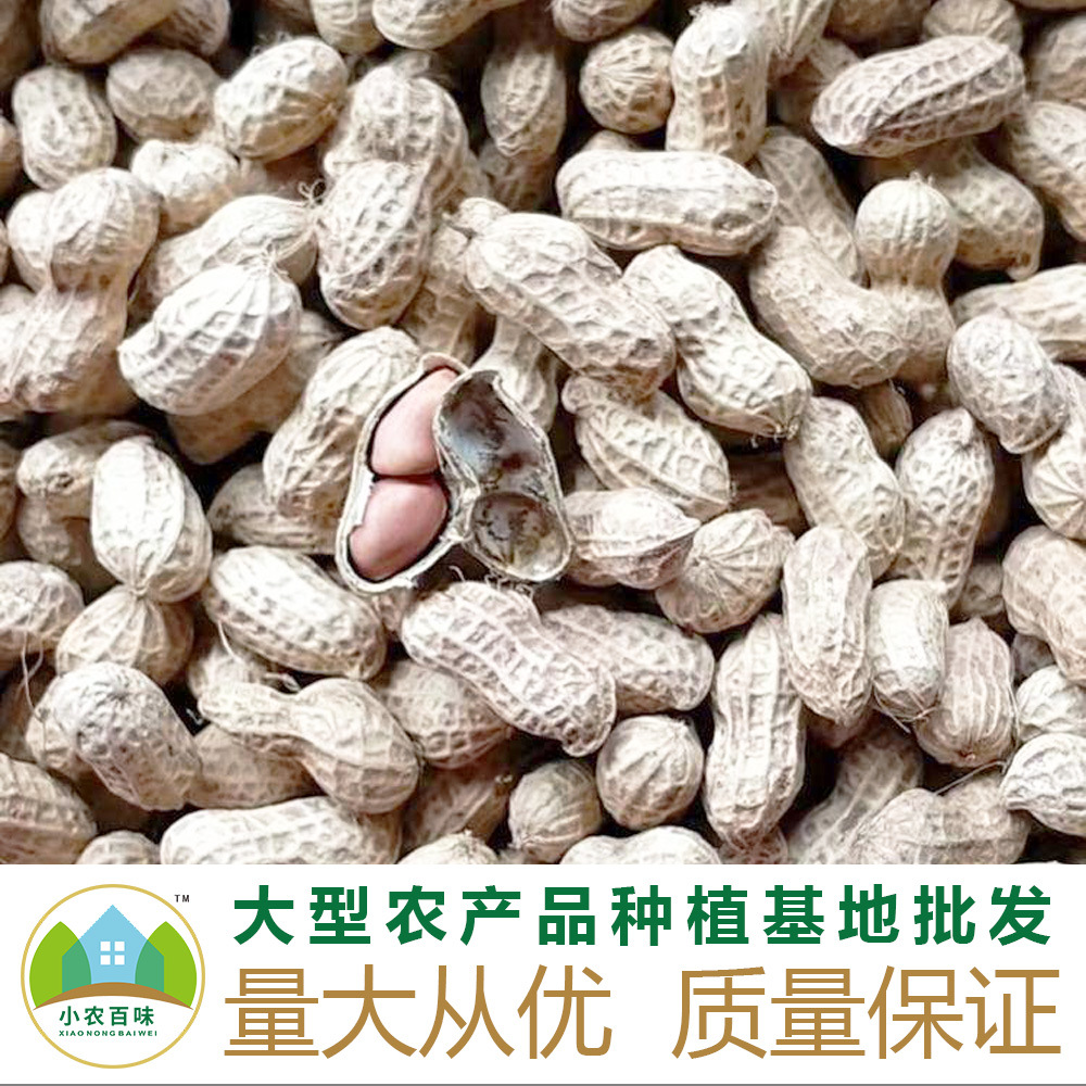 富硒原麦面粉