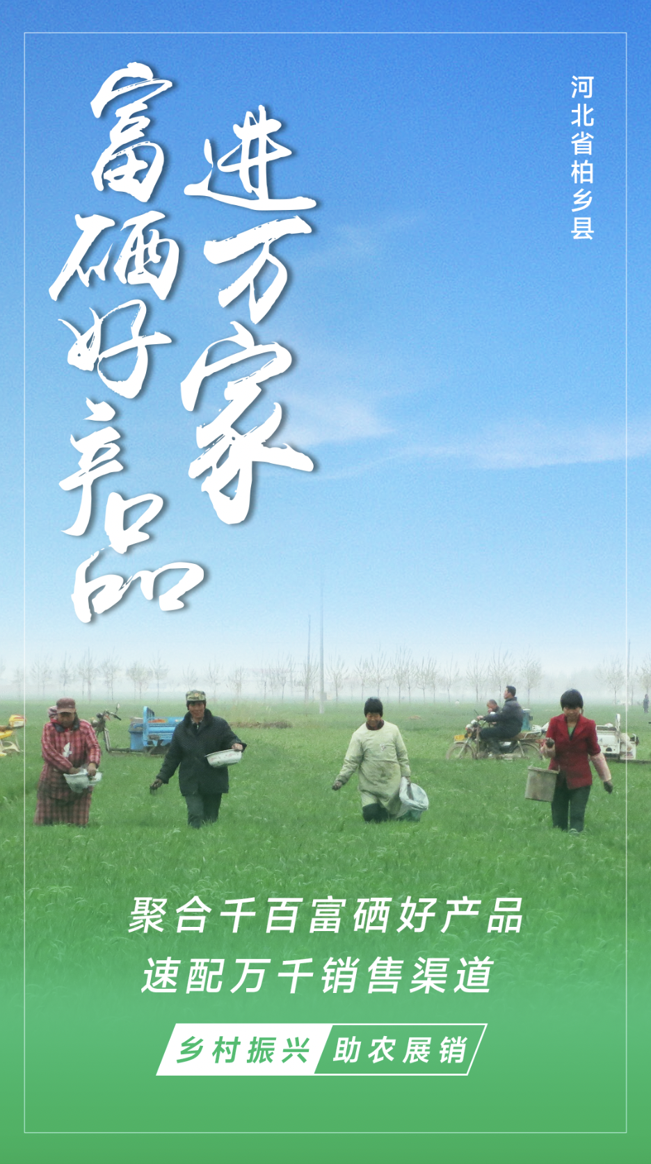 石磨面粉富硒