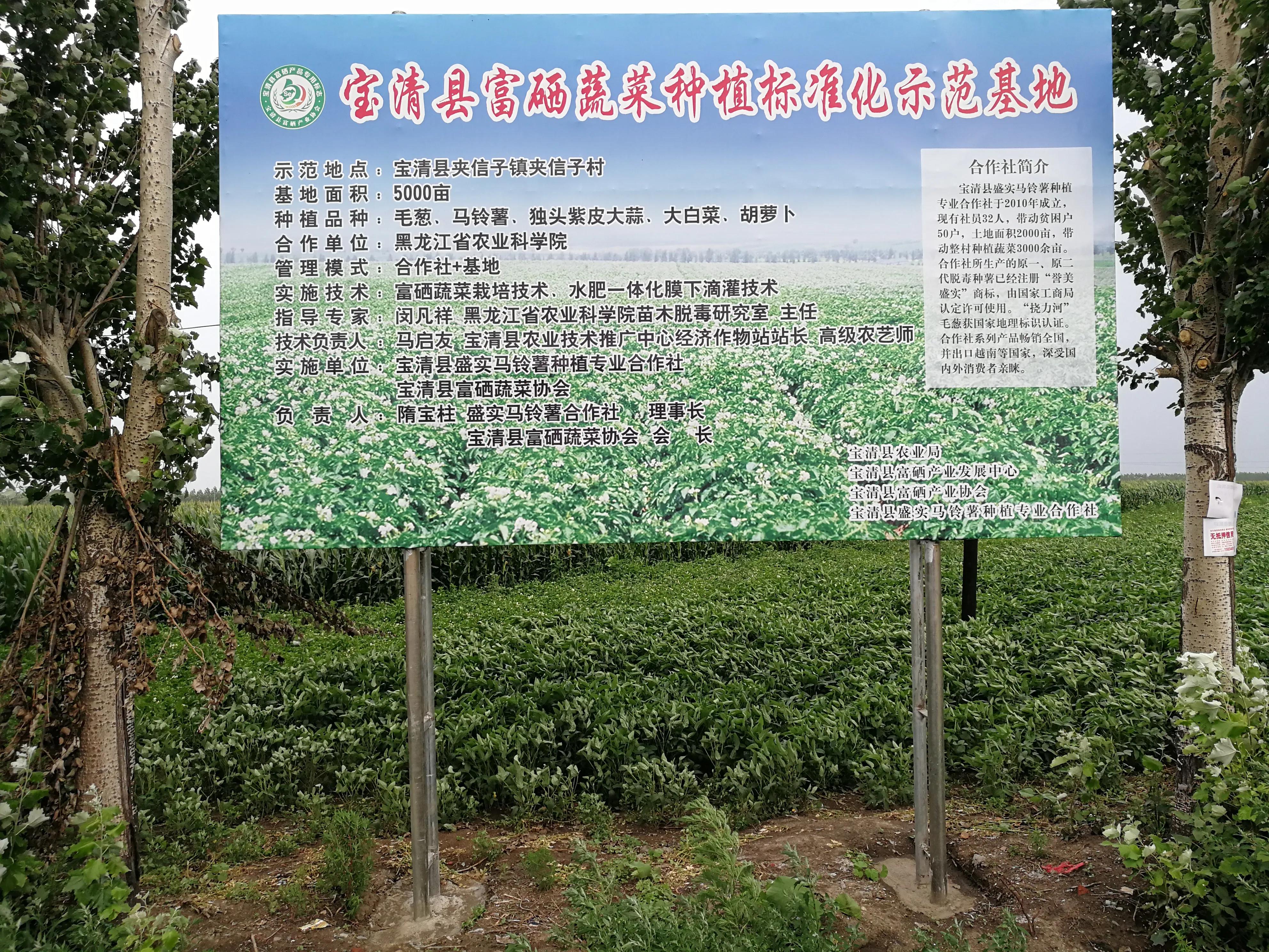 富硒面粉袋子