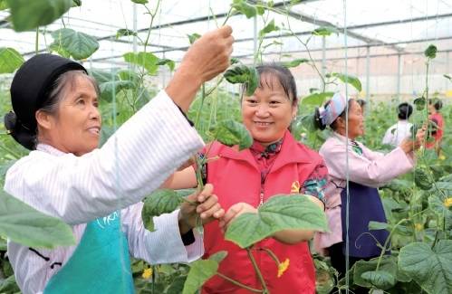 乌山富硒蔬菜