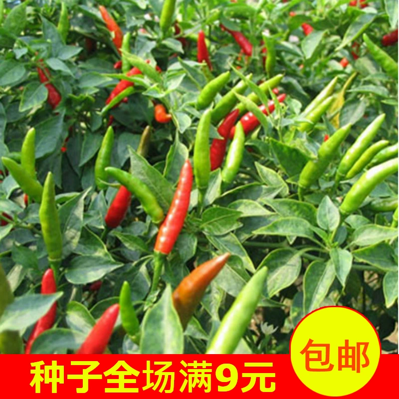 富硒蔬菜含硒