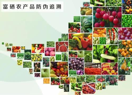 青岛富硒蔬菜