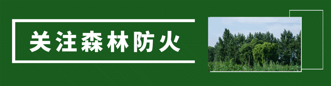 富硒蔬菜大棚