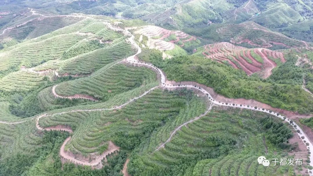 于都县大力发展现代农业 助农增产增收