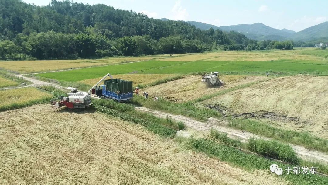 于都县大力发展现代农业 助农增产增收