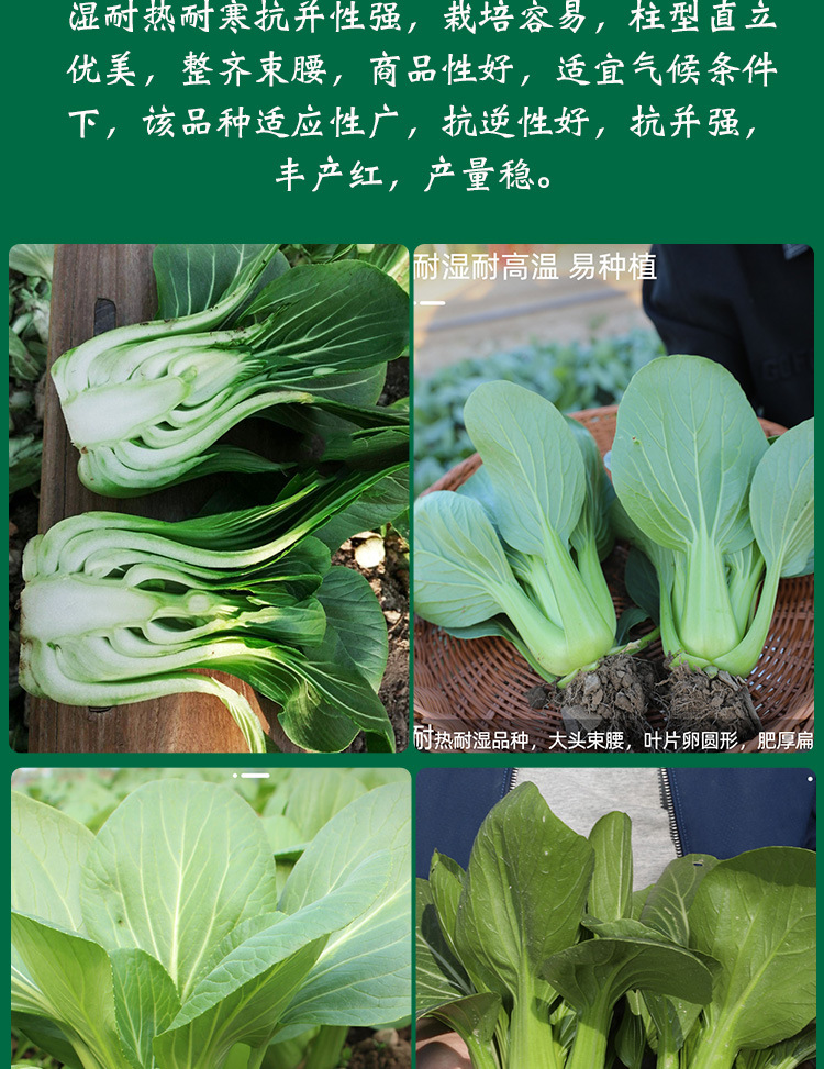 富硒土种蔬菜