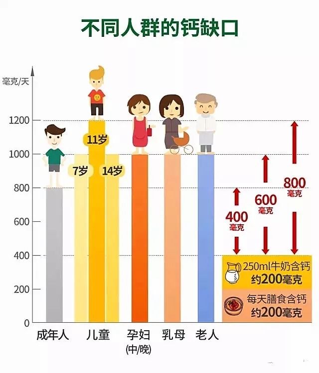 哪个牌子的钙片补钙效果好