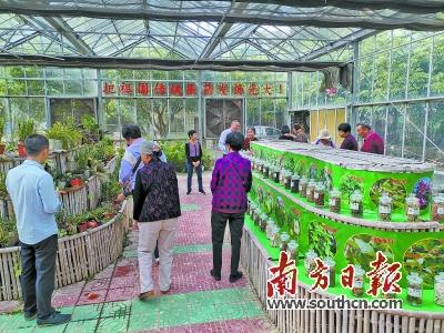 樟树富硒蔬菜
