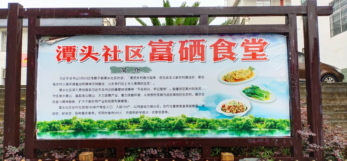富硒蔬菜画画