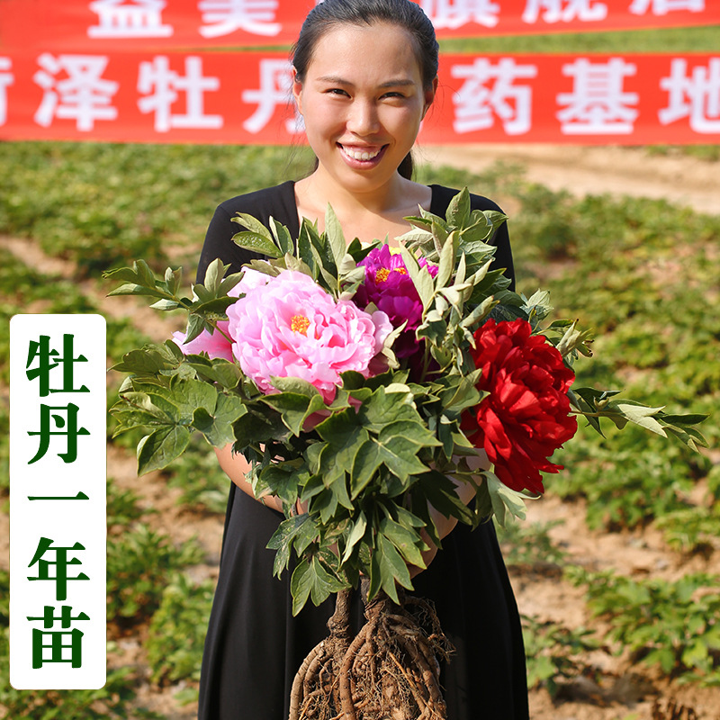 荷泽富硒蔬菜