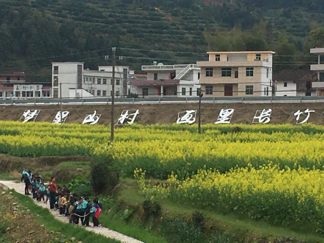 赣州富硒蔬菜
