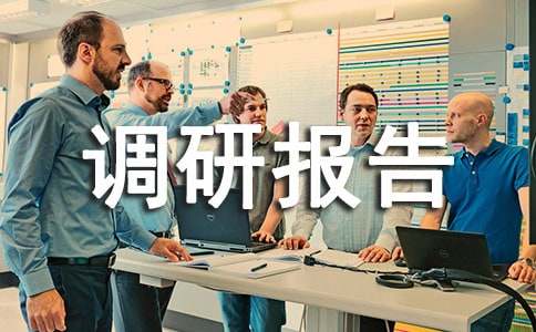 新田县富硒产业发展情况调研报告