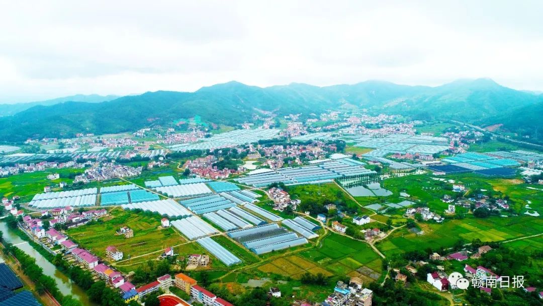 河北富硒蔬菜