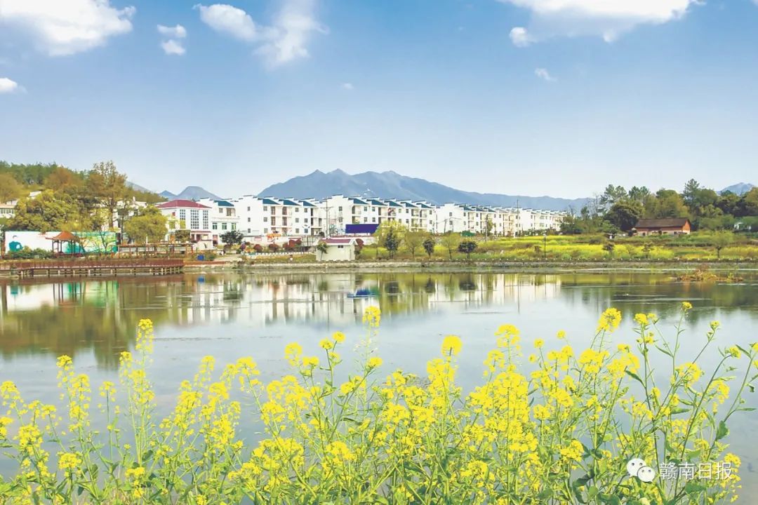 河北富硒蔬菜
