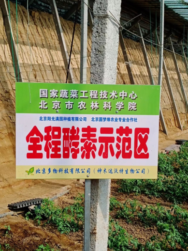 富硒酵素蔬菜