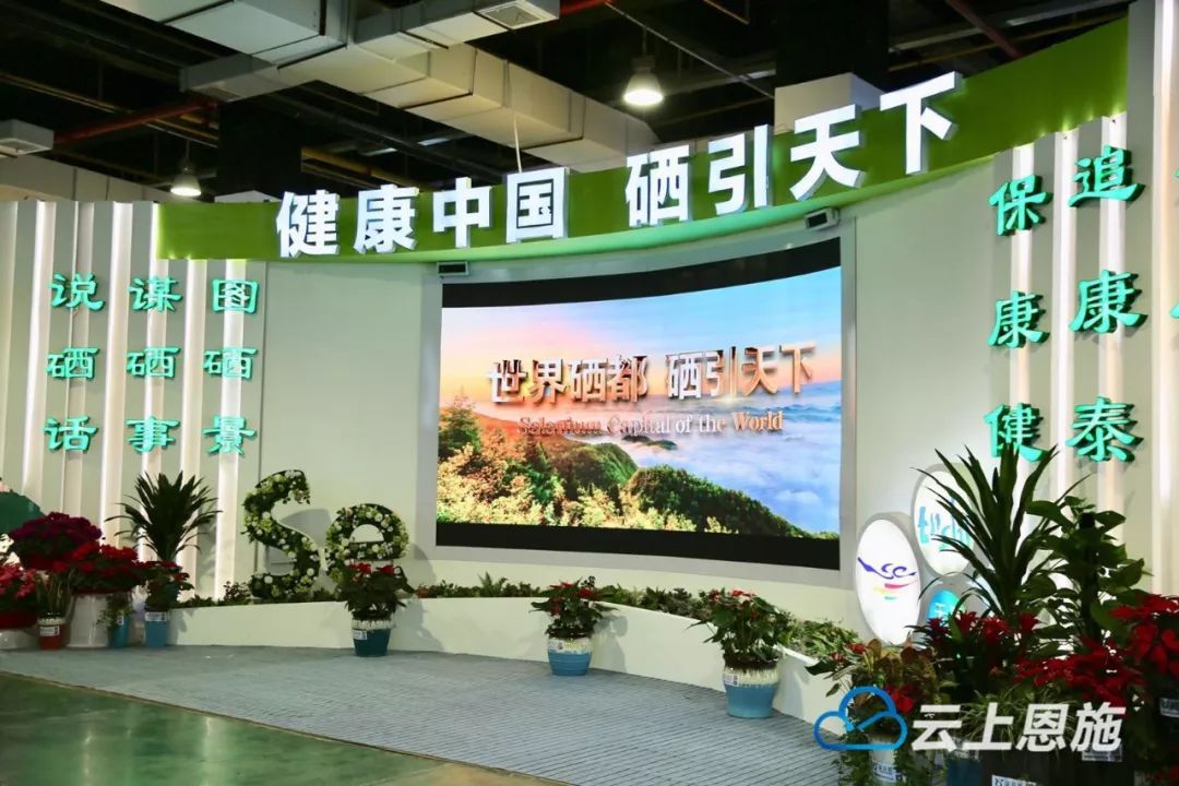 富硒蔬菜产业