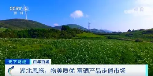 富硒蔬菜产业