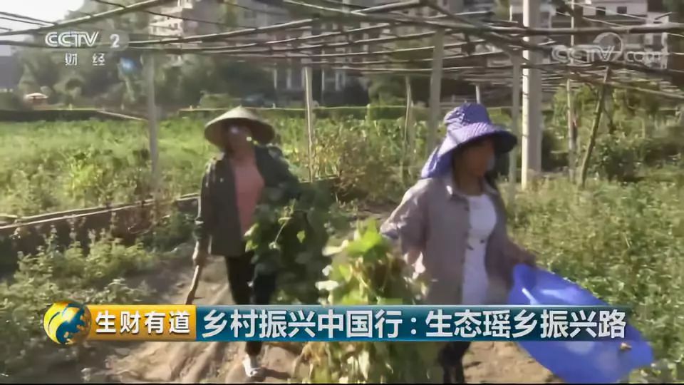 巴马富硒蔬菜