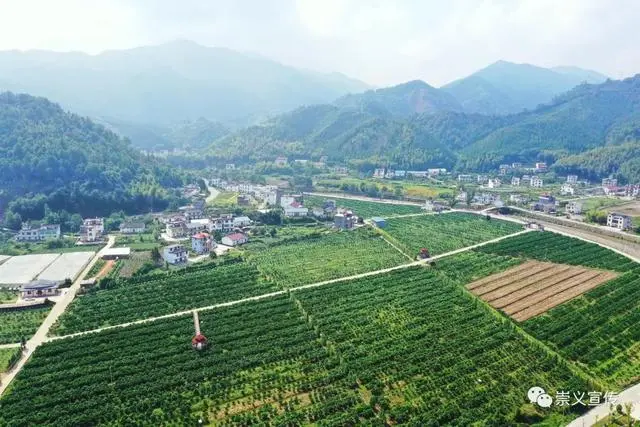 富硒蔬菜宣传