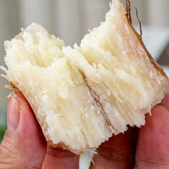 富硒蔬菜礼盒