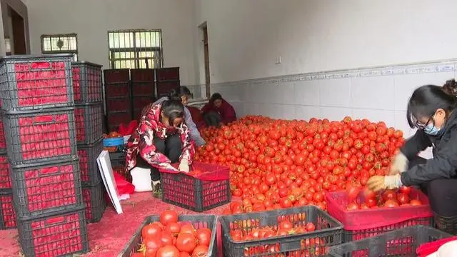 于都富硒蔬菜