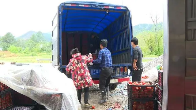 于都富硒蔬菜