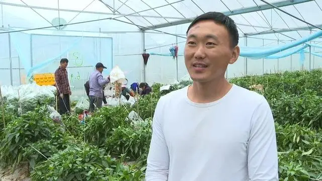 于都富硒蔬菜