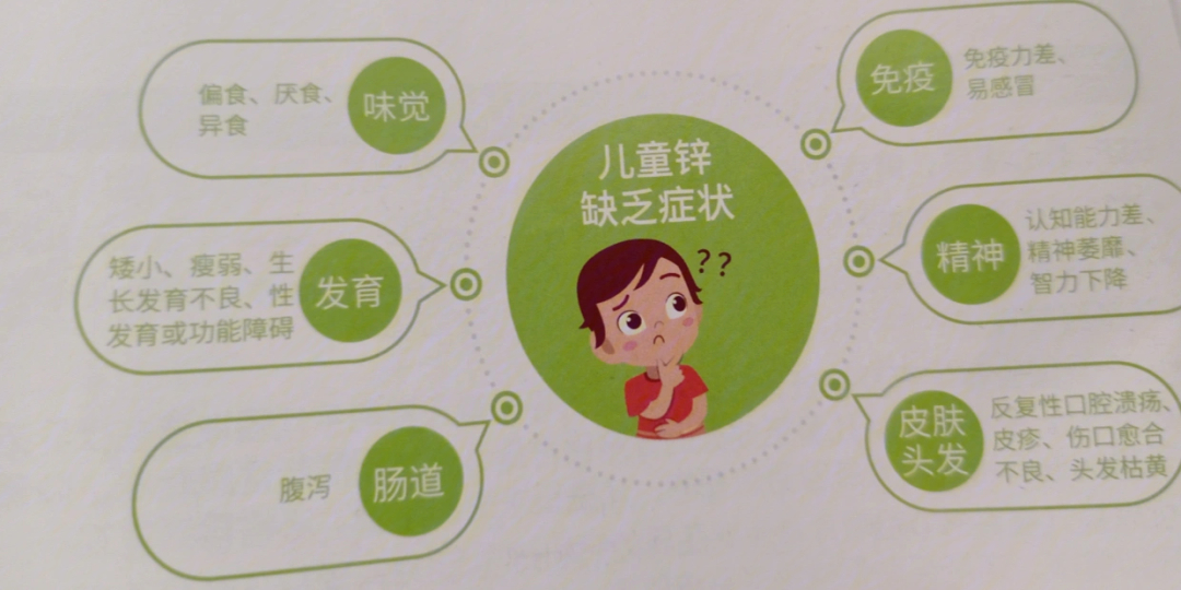 吃什么补充微量元素