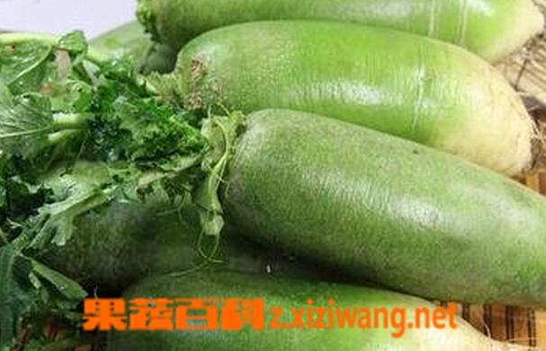 富硒蔬菜市场