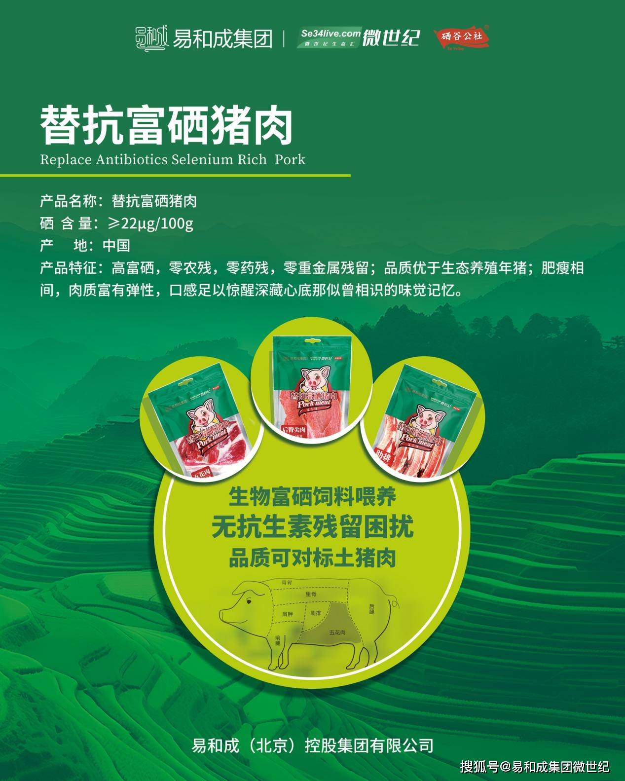 含富硒的蔬菜