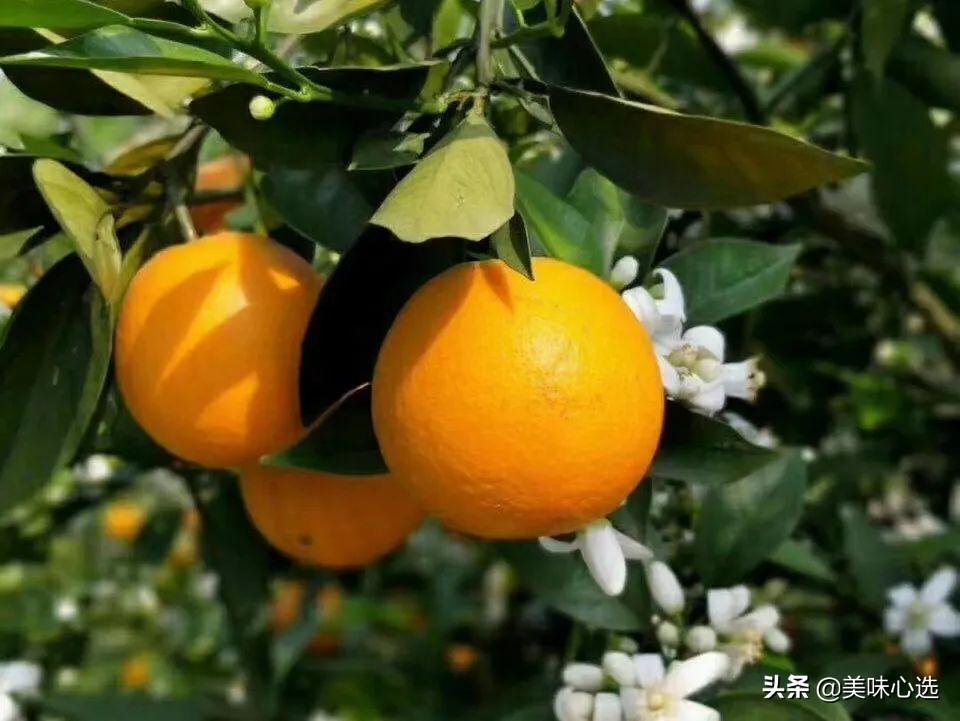 富硒爆汁蔬菜