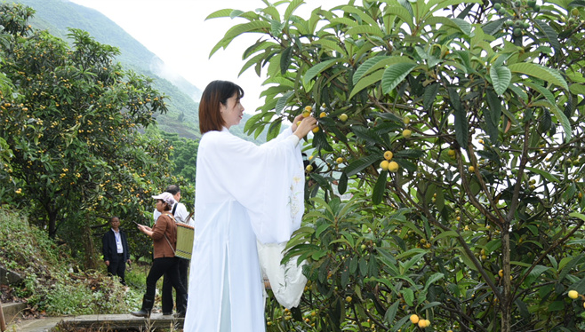 毕节富硒水果