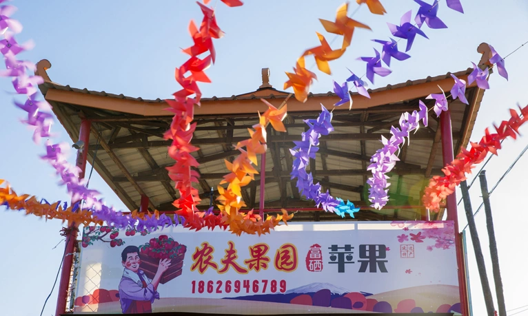 吉林富硒水果