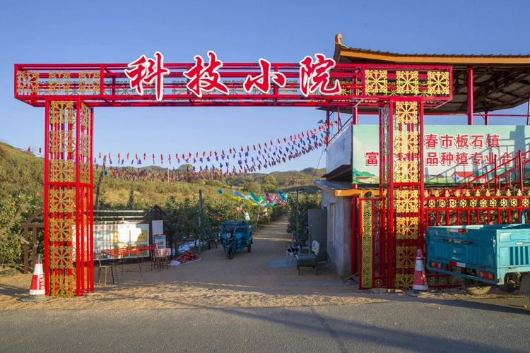 吉林富硒水果