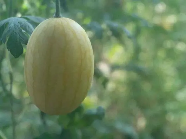 宝鸡富硒水果