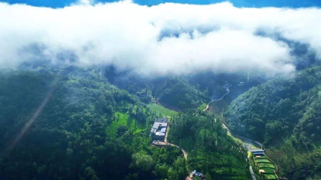 高山富硒水果