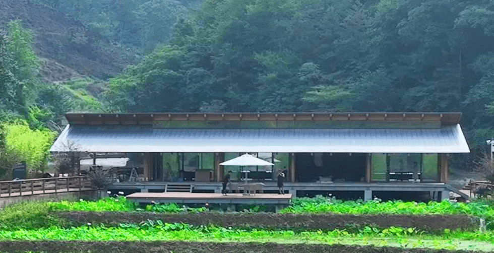 高山富硒水果