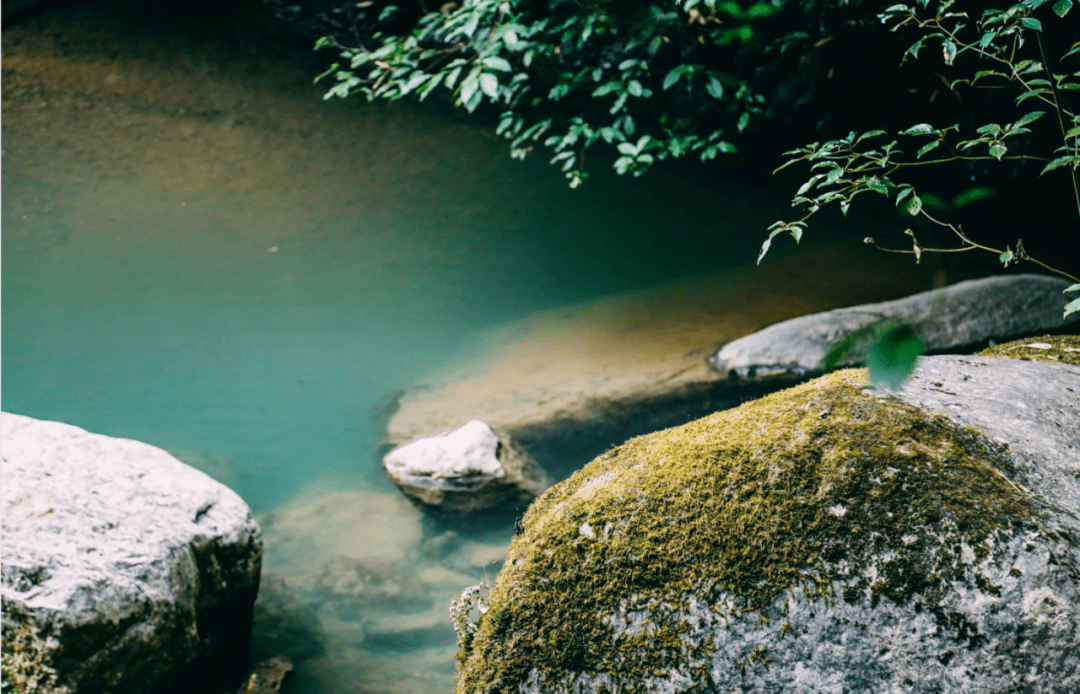 高山富硒水果