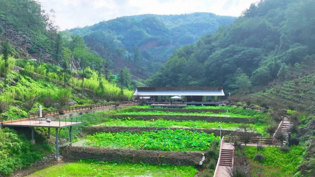 高山富硒水果