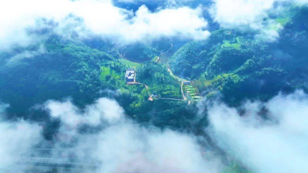 高山富硒水果