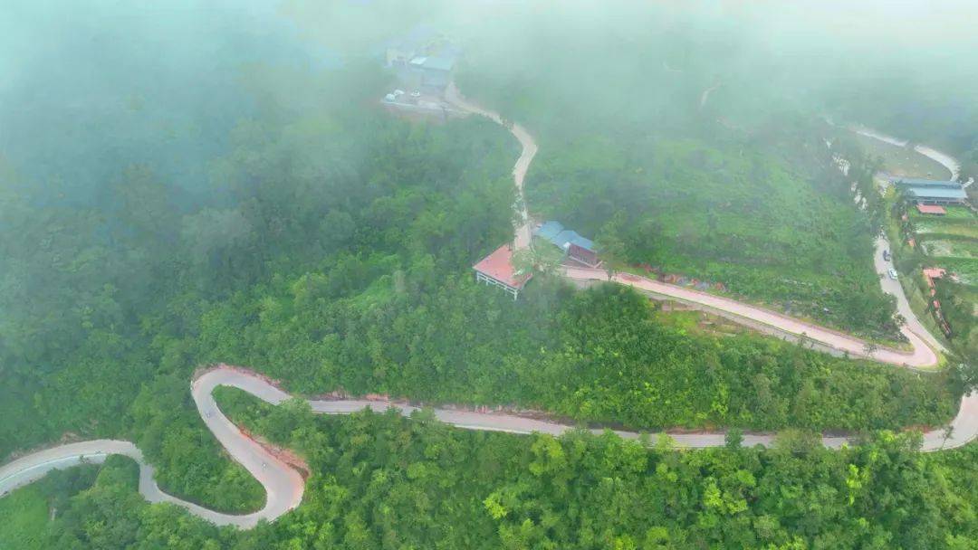 高山富硒水果