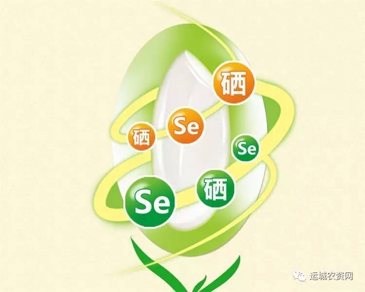 水果富硒含量