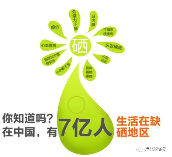 水果富硒含量