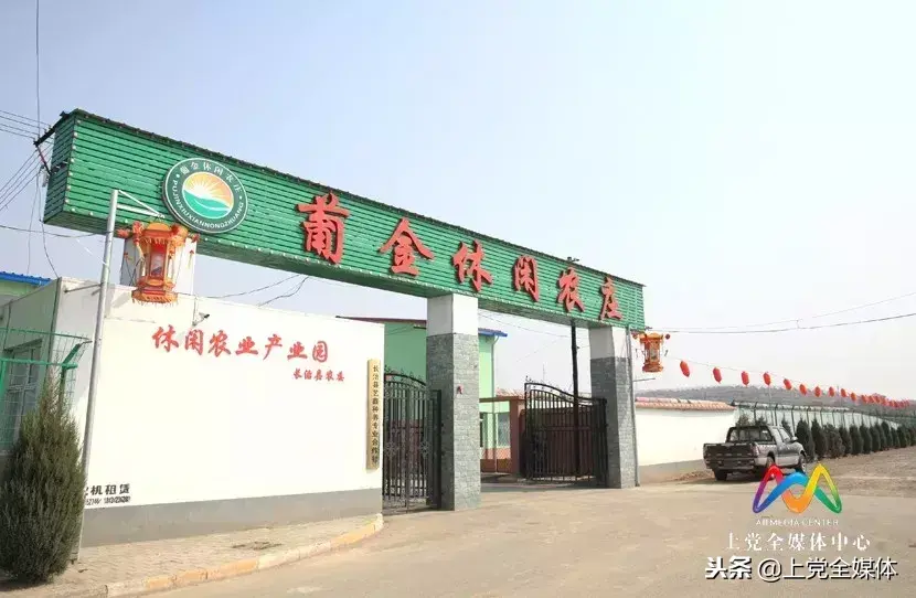 富硒水果葡萄