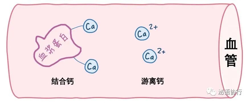 补钙多久要停一停