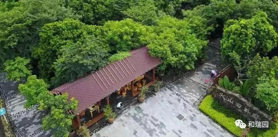 澄迈富硒水果