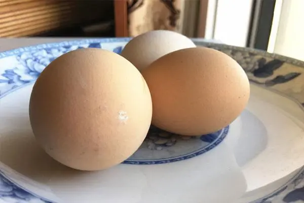 鸡蛋壳补钙是真的吗（鸡蛋壳钙片）-硒宝网