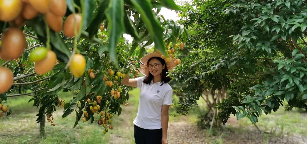 寻乌富硒水果