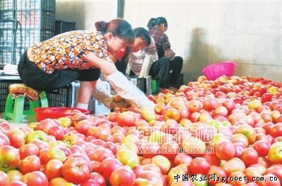 恩施马铃薯研究中心