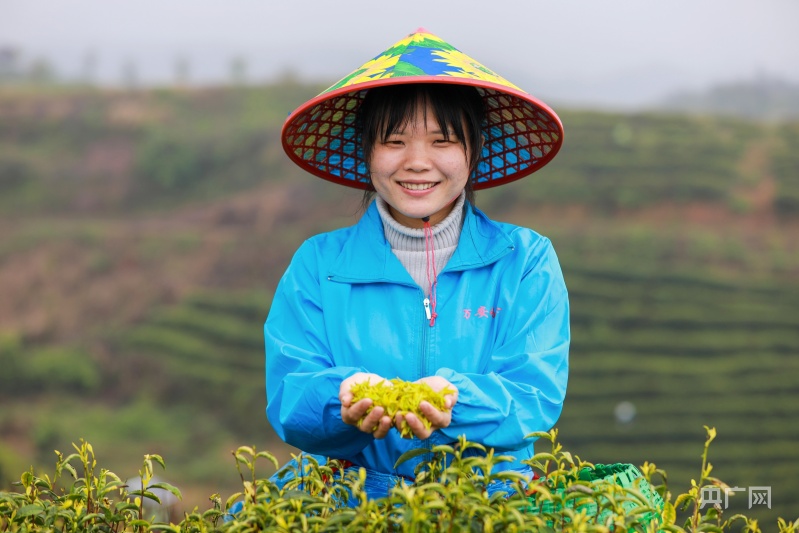 南阳富硒水果